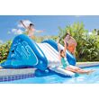 Water Slide 58849