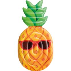 Cool Pineapple Mat 58790