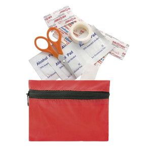 ΚΙΤ ΠΡΩΤΩΝ ΒΟΗΘΕΙΩΝ, FIRST AID KIT, ALBAINOX, 39983