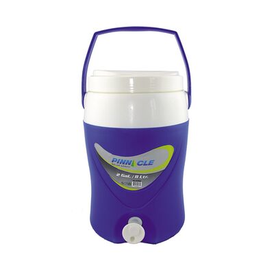 ΘΕΡΜΟΣ PLATINO 2 GAL/8LTR ΠΟΡΤΟΚΑΛΙ