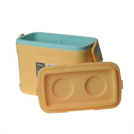 ΨΥΓΕΙΟ PASSION 8.5QT/8LTR MELON YELLOW