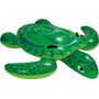 Lil' Sea Turtle 57524