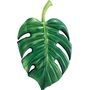 Palm Leaf Mat 58782
